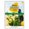 Dieta Hashi - Lato 4 wegetariańska